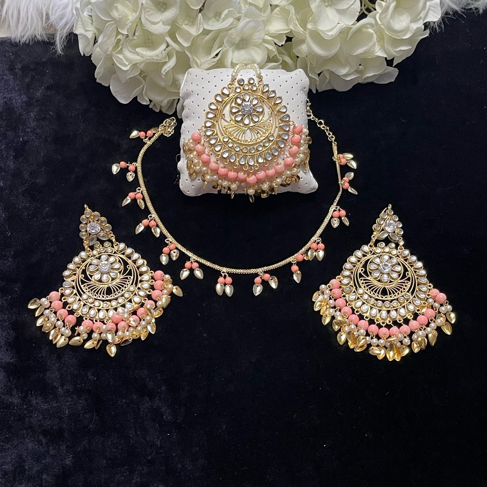 ✨Brand new Beautiful  delicate necklace earrings with tikka ( forehead piece)✨
